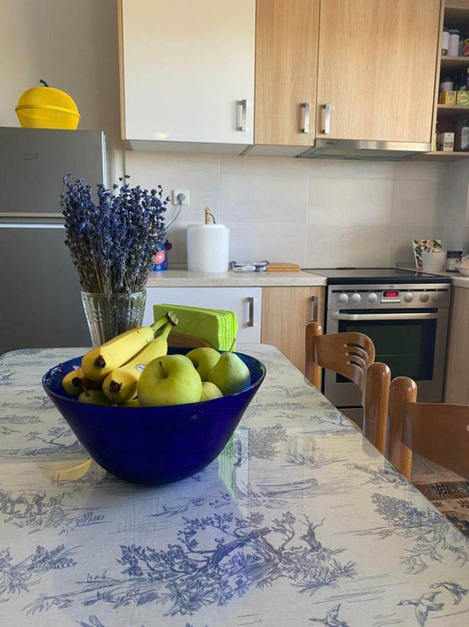 Polys Apartment And Paraskevi Studio With View بتولمايذا المظهر الخارجي الصورة